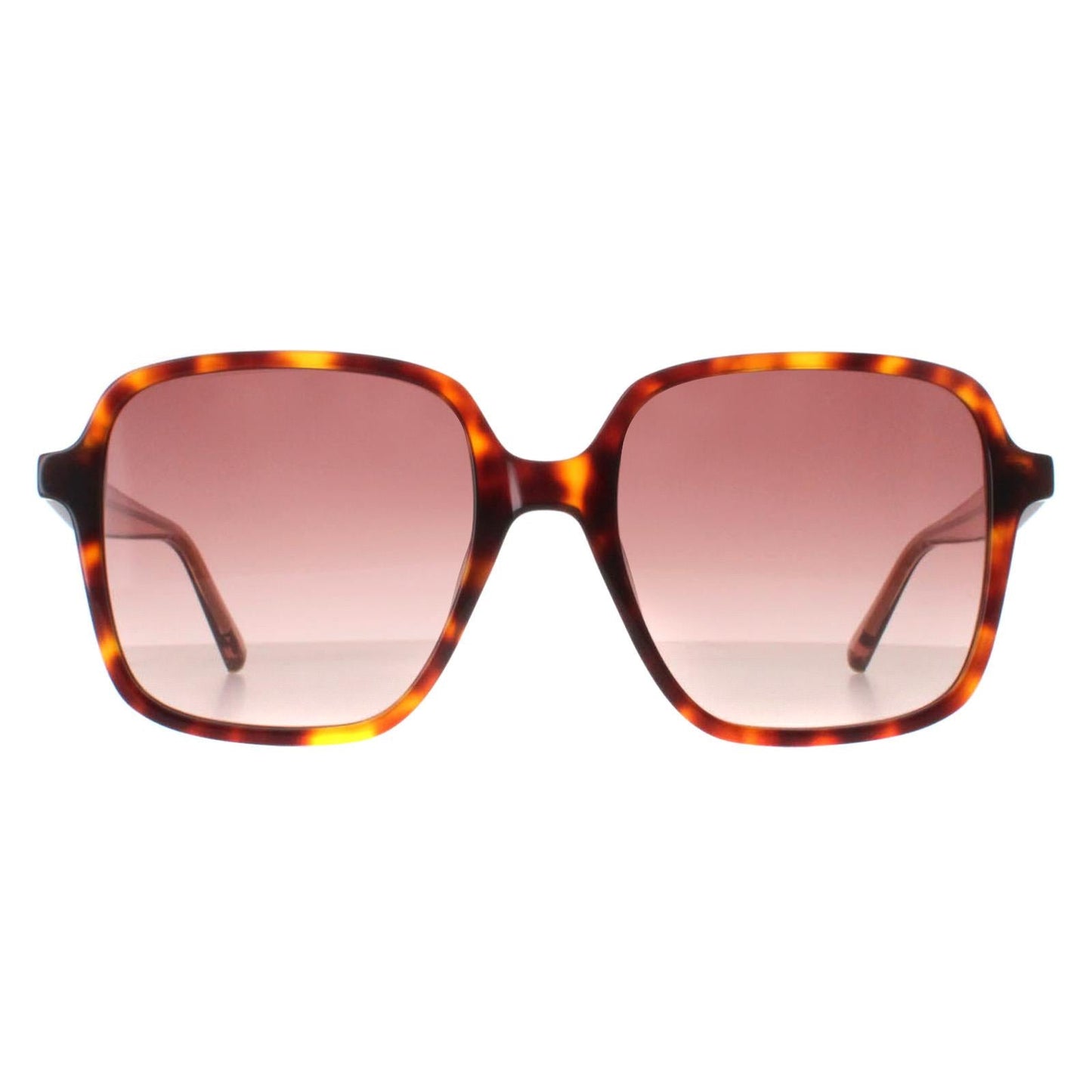 Ted Baker Sunglasses TB1688 100 Tortoise Pink Gradient