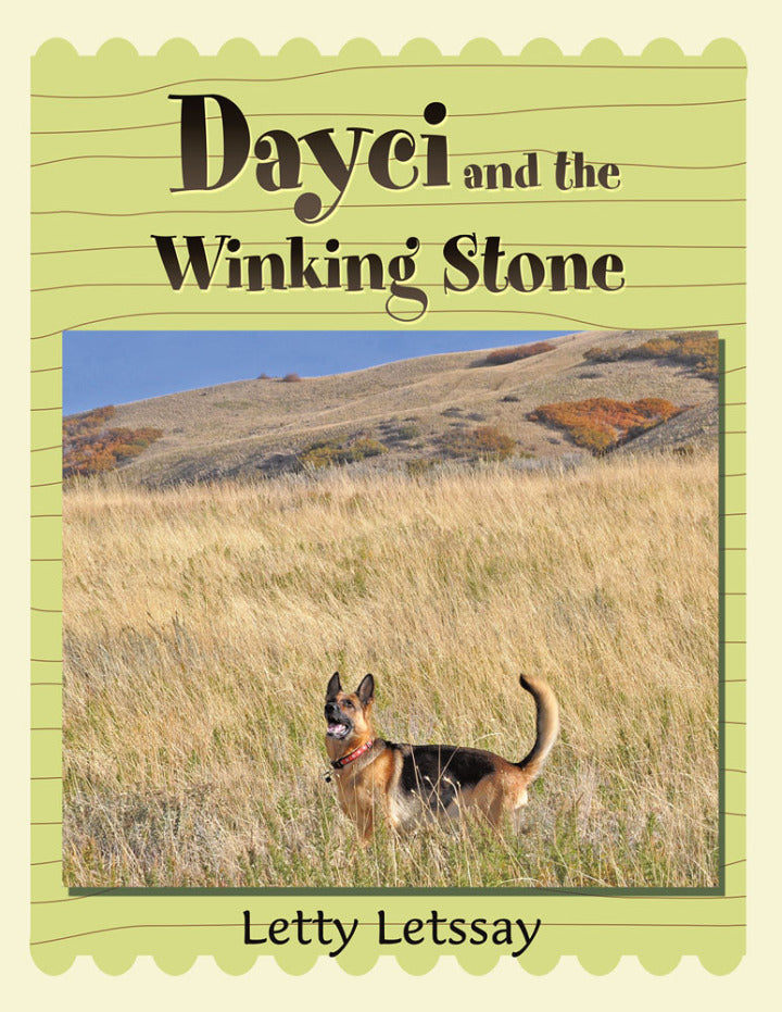 Dayci and the Winking Stone  - E-Book and test bank