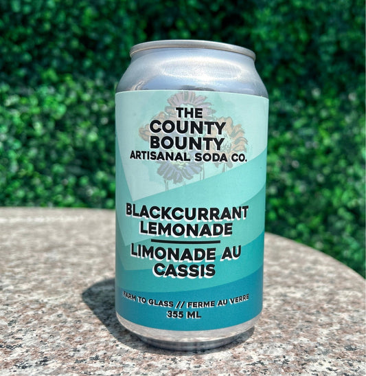 Black Current Lemonade Soda 355ml