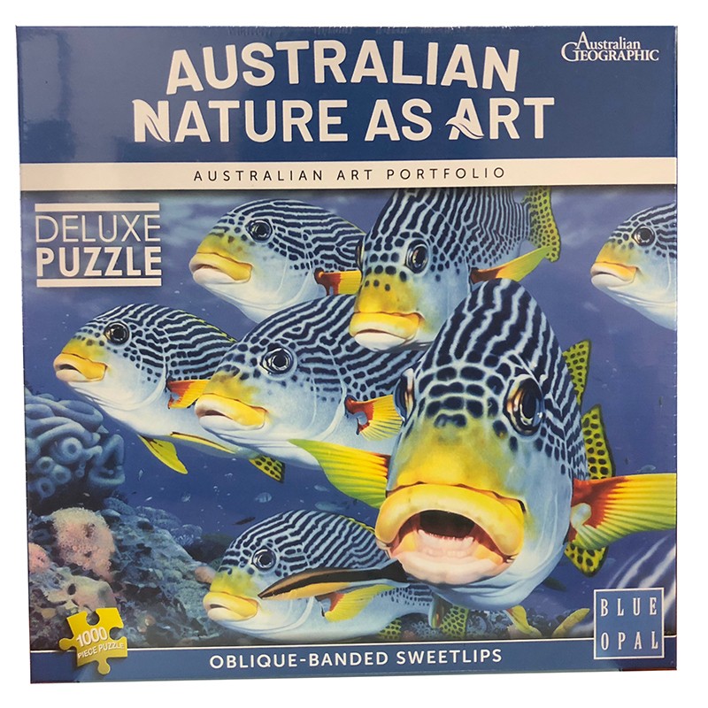 Oblique-Banded Sweetlips by Ego Giotto 1000pcs Puzzle